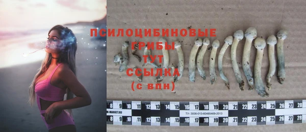 COCAINE Алзамай